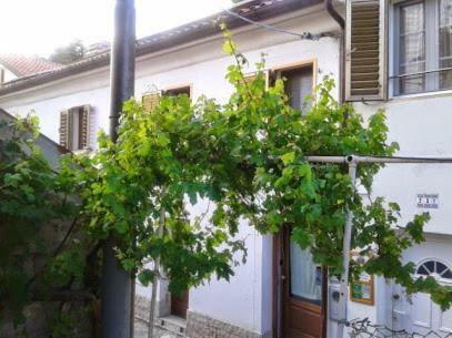 B&B Al Ferdinandeo Триест Экстерьер фото